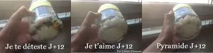 Cliquez pour agrandir